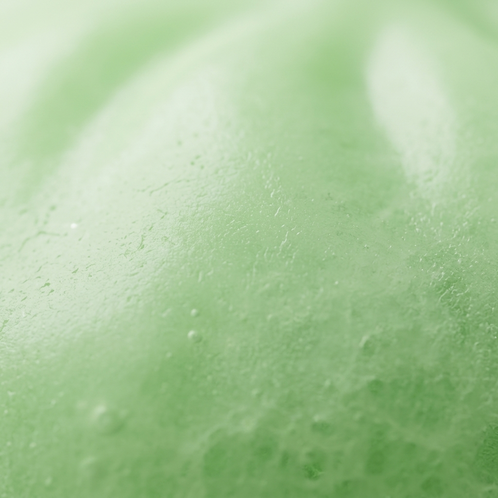 Dumpling Squishy Verde Natural con Cesta de Bambú — primer plano macro de la textura