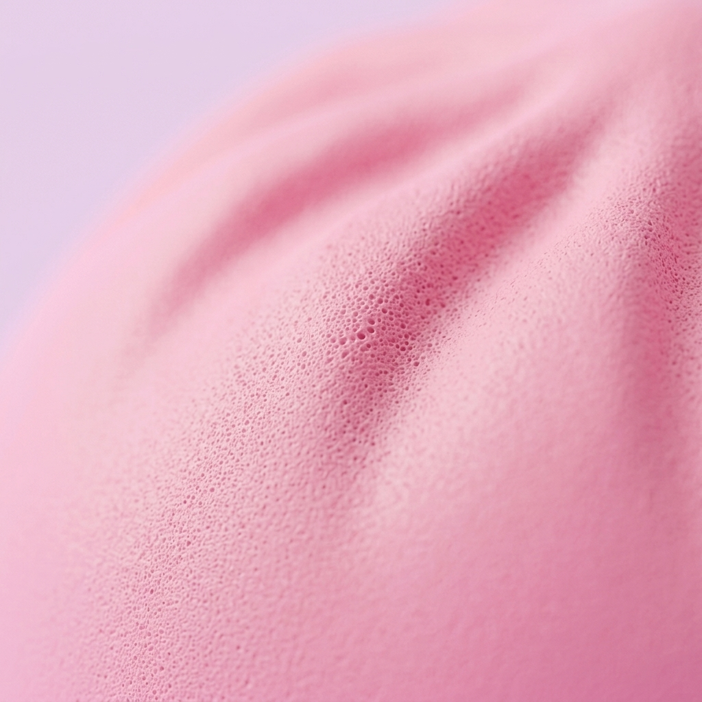 Mystery Dumpling Squishy Caja Sorpresa — primer plano macro de la textura