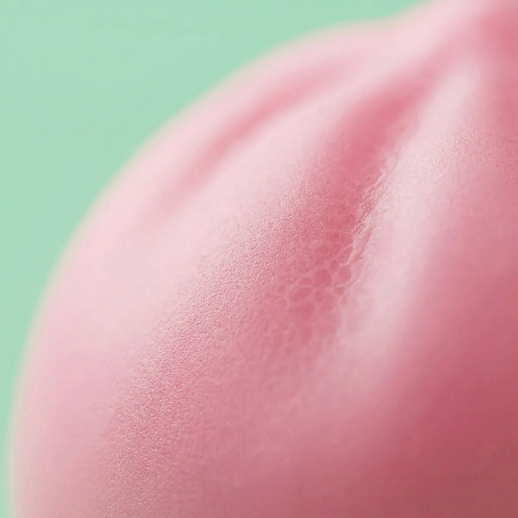 Dumpling Squishy Rosa Mullido — primer plano macro de la textura