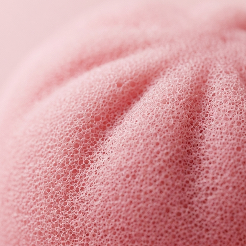 Pink Dumpling Squishy Flor de Cerezo — primer plano macro de la textura