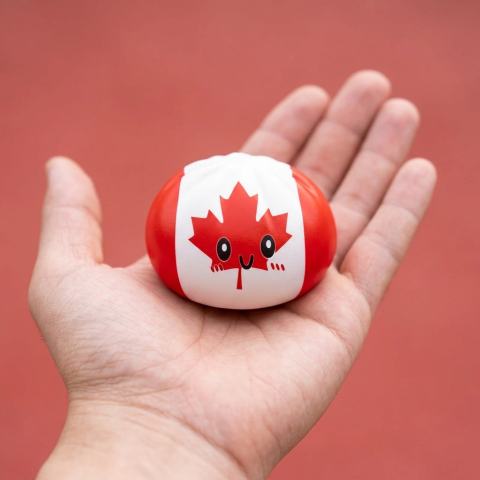 Flag Squishy Dumpling Canadá en la mano, tamaño real