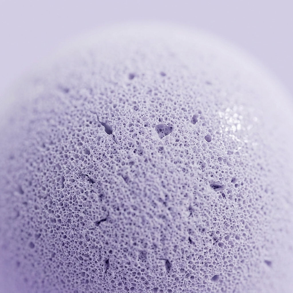 Dumpling Squishy Mystery Peluche Sorpresa — primer plano macro de la textura